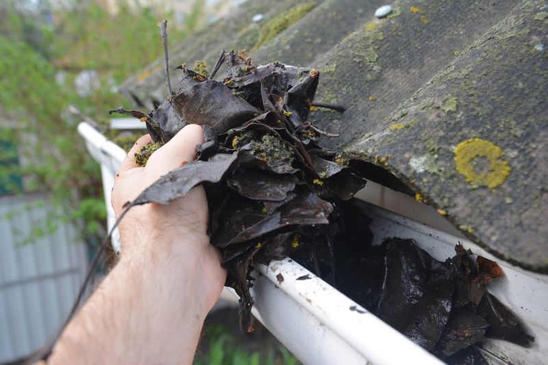 Gutter Cleaning in Annapolis, MD