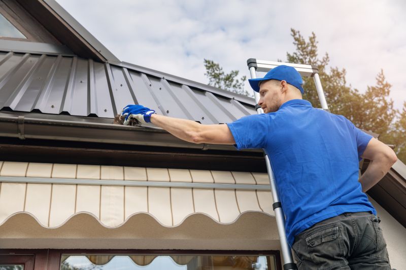 Roof Gutter Cleaning in Longmont, CO