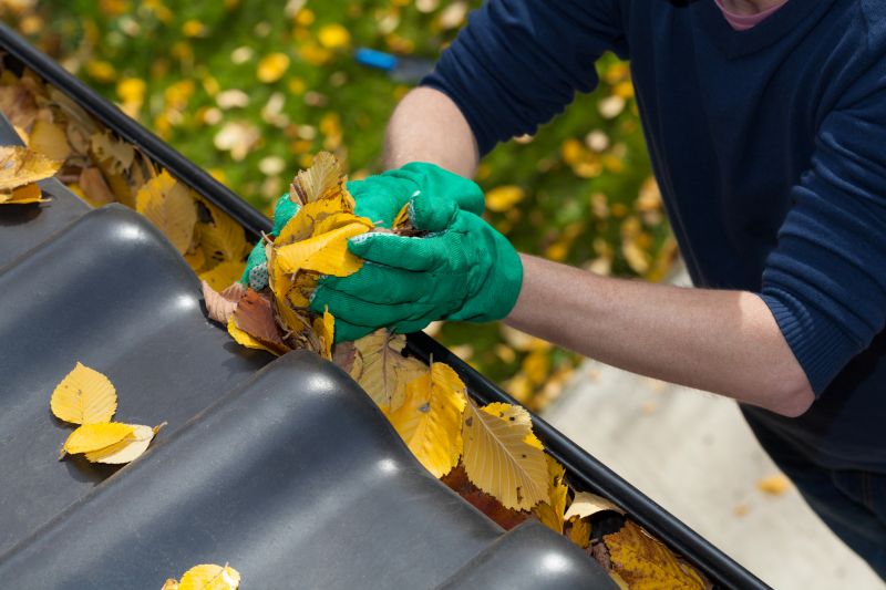 Eavestrough Clearing in Frederick, MD